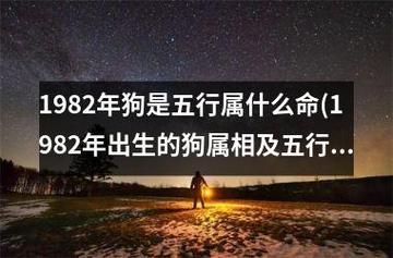 内容目录:1,狗的性格特点2,水狗的特点3,相配的属相和五行4,水狗在