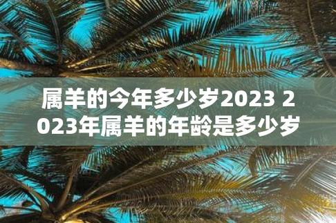 属羊的今年多少岁2023 2023年属羊的年龄是多少岁