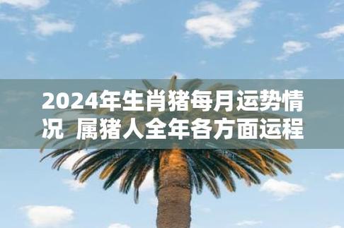 2024年生肖猪每月运势情况  属猪人全年各方面运程好不好