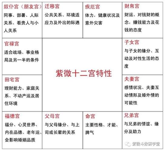 学业看哪个宫位(紫微斗数哪个宫看学业)