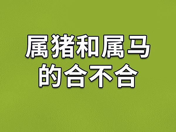 属马和属猪的事业合不合